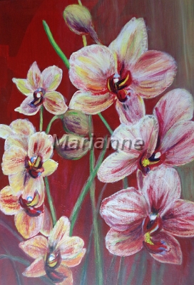 Orchideenrispe 30x40 Acryl.JPG