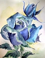 Blaue Rose 50 x 70