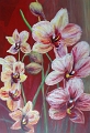 Orchideenrispe 30x40 Acryl