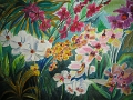 Orchideenvielfalt 40x50